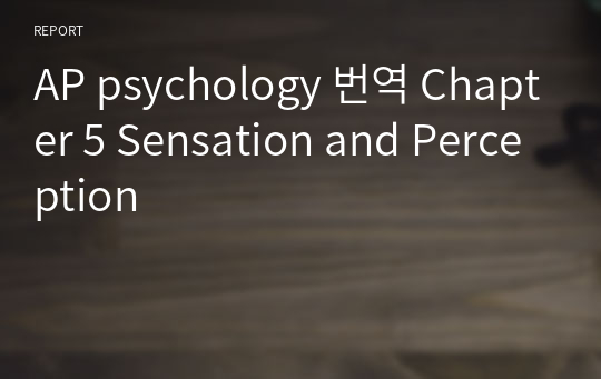 AP psychology 번역 Chapter 5 Sensation and Perception