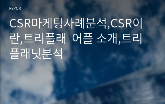 CSR마케팅사례분석,CSR이란,트리플래  어플 소개,트리플래닛분석