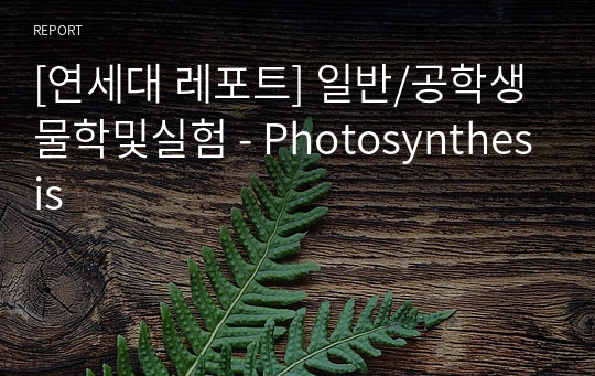 [연세대 레포트] 일반/공학생물학및실험 - Photosynthesis