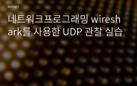 네트워크프로그래밍 wireshark를 사용한 UDP 관찰 실습
