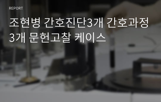 조현병 간호진단3개 간호과정3개 문헌고찰 케이스