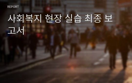사회복지 현장 실습 최종 보고서
