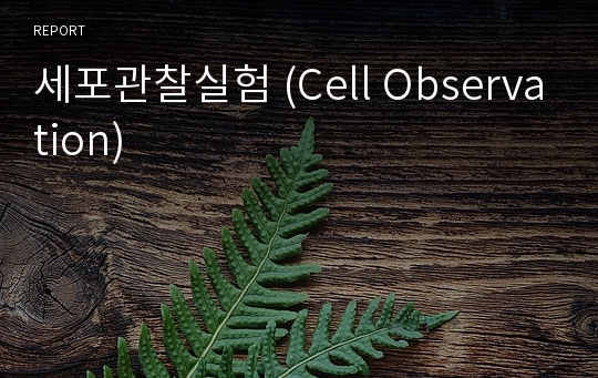 세포관찰실험 (Cell Observation)_서울대학교 생물학실험