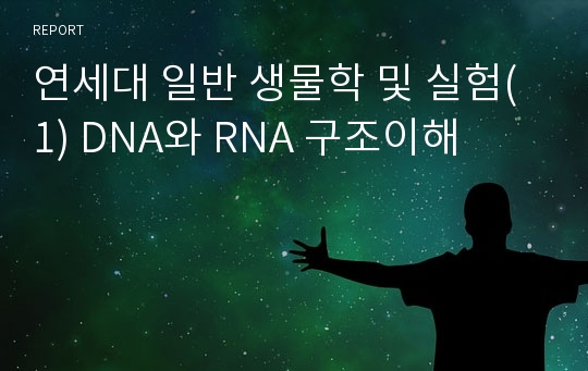 연세대 일반 생물학 및 실험(1) DNA와 RNA 구조이해