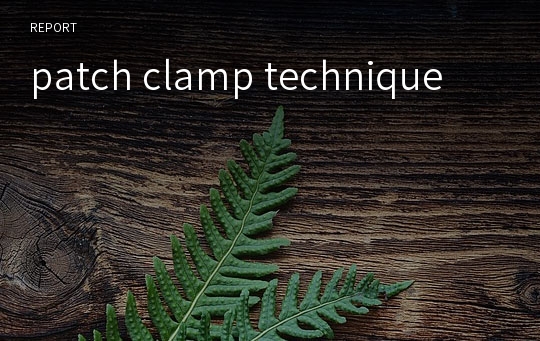 patch clamp technique