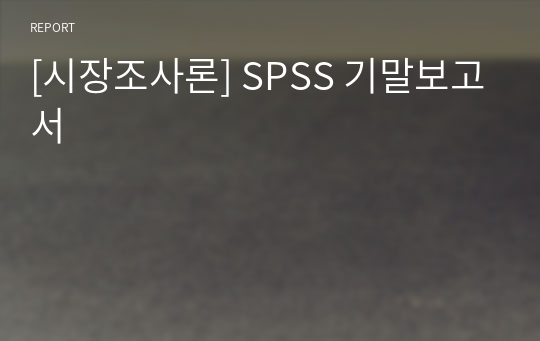 [시장조사론] SPSS 기말보고서