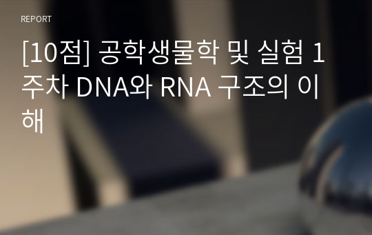 [10점/A+] 연세대학교 공학생물학 및 실험I 1주차 DNA와 RNA 구조의 이해