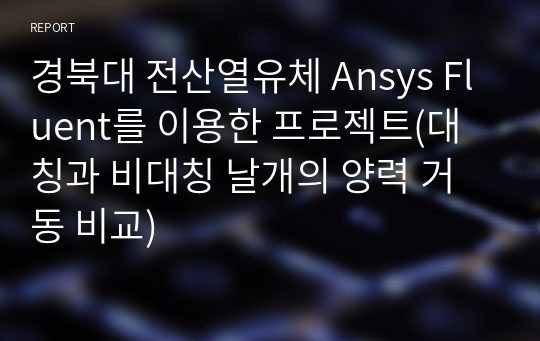 경북대 전산열유체 Ansys Fluent를 이용한 프로젝트(대칭과 비대칭 날개의 양력 거동 비교)