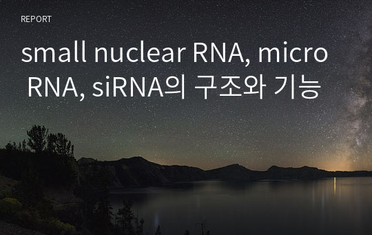 small nuclear RNA, micro RNA, siRNA의 구조와 기능