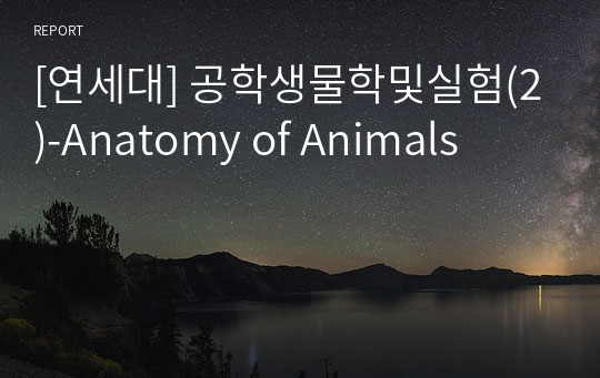 [연세대] 공학생물학및실험(2)-Anatomy of Animals