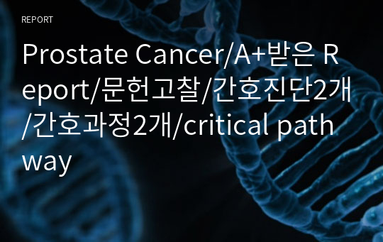 Prostate Cancer/A+받은 Report/문헌고찰/간호진단2개/간호과정2개/critical pathway