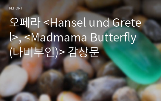 오페라 &lt;Hansel und Gretel&gt;, &lt;Madmama Butterfly (나비부인)&gt; 감상문