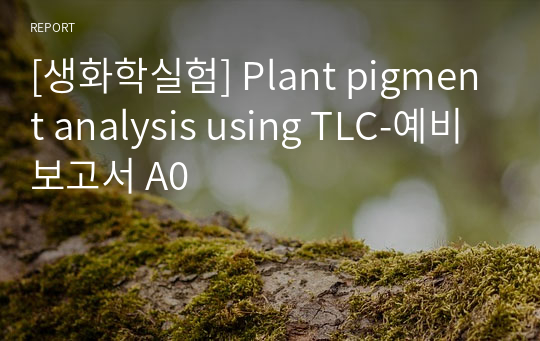 [생화학실험] Plant pigment analysis using TLC-예비보고서 A0