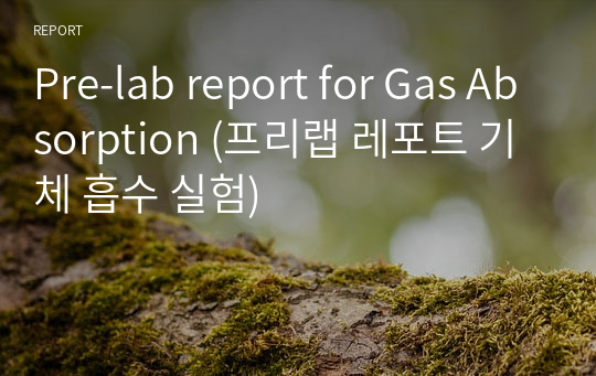 [A+] Pre-lab report for Gas Absorption (프리랩 레포트 기체 흡수 실험)