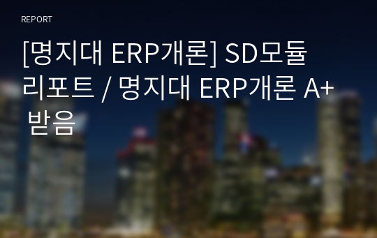 [명지대 ERP개론] SD모듈 리포트 / 명지대 ERP개론 A+ 받음