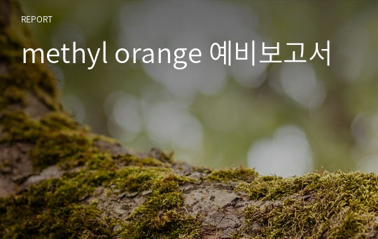 methyl orange 예비보고서
