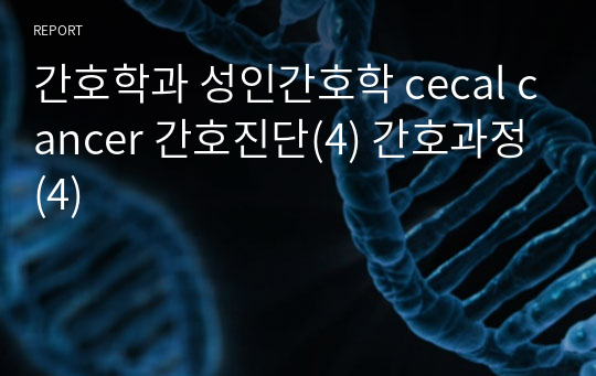간호학과 성인간호학 cecal cancer 간호진단(4) 간호과정(4)
