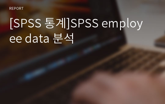 [SPSS 통계]SPSS employee data 분석