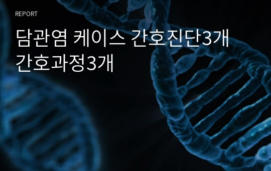 담관염 케이스 간호진단3개 간호과정3개