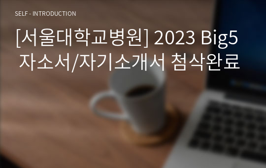 [서울대학교병원] 2023 Big5 자소서/자기소개서 첨삭완료