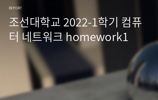조선대학교 2022-1학기 컴퓨터 네트워크 homework1