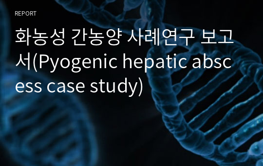 화농성 간농양 사례연구 보고서(Pyogenic hepatic abscess case study)