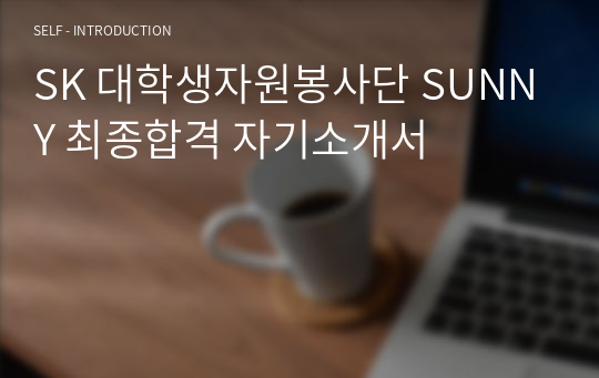 SK 대학생자원봉사단 SUNNY 최종합격 자기소개서