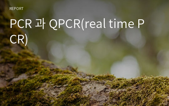 PCR 과 QPCR(real time PCR)