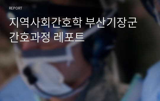 지역사회간호학 부산기장군 간호과정 레포트