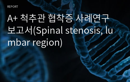 A+ 척추관 협착증 사례연구 보고서(Spinal stenosis, lumbar region)