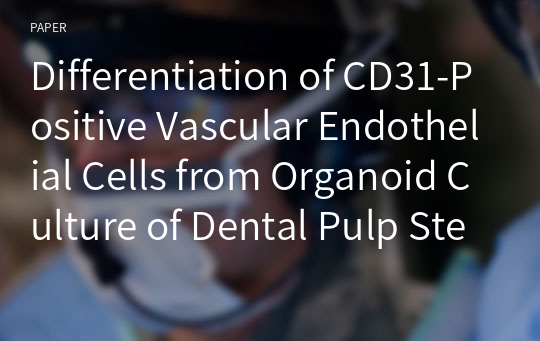 Differentiation of CD31-Positive Vascular Endothelial Cells from Organoid Culture of Dental Pulp Stem Cells
