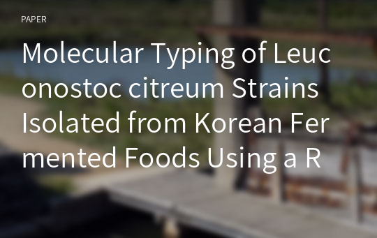 Molecular Typing of Leuconostoc citreum Strains Isolated from Korean Fermented Foods Using a Random Amplified Polymorphic DNA Marker