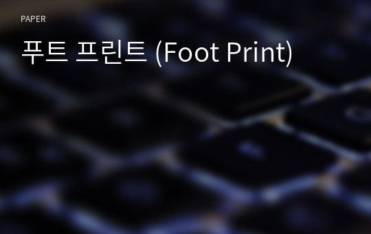 푸트 프린트 (Foot Print)