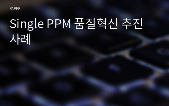 Single PPM 품질혁신 추진사례
