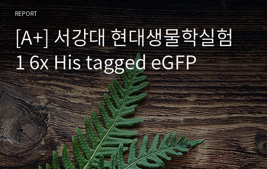 [A+] 서강대 현대생물학실험1 6x His tagged eGFP