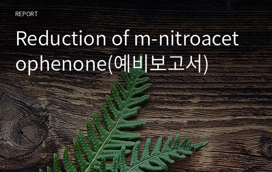 Reduction of m-nitroacetophenone(예비보고서)