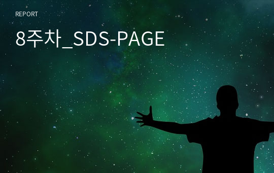 8주차_SDS-PAGE