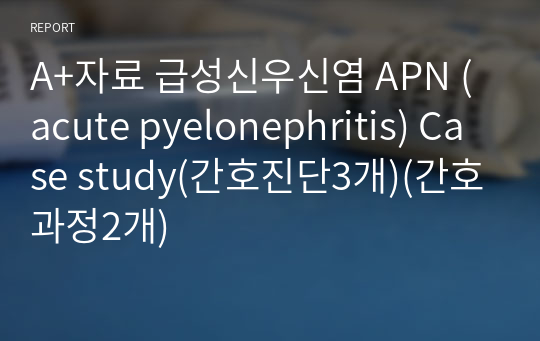 A+자료 급성신우신염 APN (acute pyelonephritis) Case study(간호진단3개)(간호과정2개)