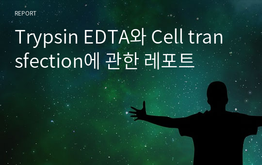 Trypsin EDTA와 Cell transfection에 관한 레포트