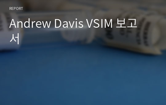 Andrew Davis VSIM 보고서