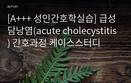 [A+++ 성인간호학실습] 급성담낭염(acute cholecystitis) 간호과정 케이스스터디