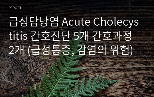 급성담낭염 Acute Cholecystitis 간호진단 5개 간호과정 2개 (급성통증, 감염의 위험)