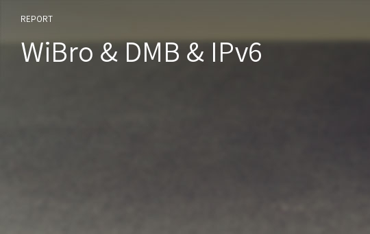 WiBro &amp; DMB &amp; IPv6