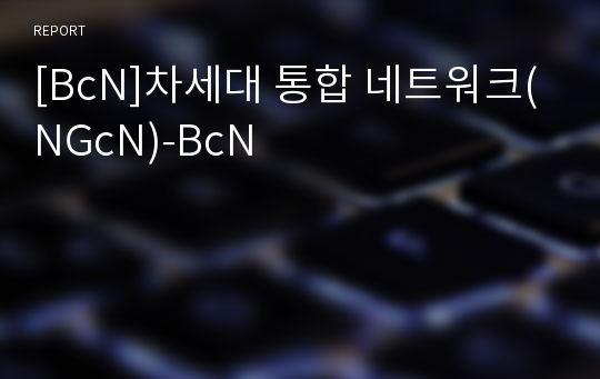 [BcN]차세대 통합 네트워크(NGcN)-BcN
