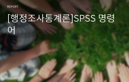[행정조사통계론]SPSS 명령어