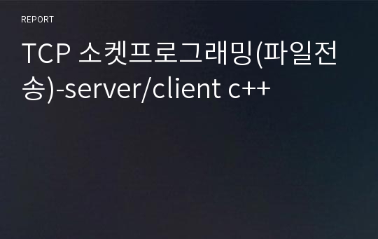 TCP 소켓프로그래밍(파일전송)-server/client c++