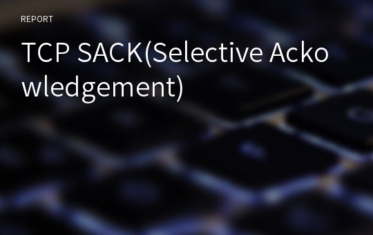 TCP SACK(Selective Ackowledgement)
