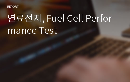 연료전지, Fuel Cell Performance Test