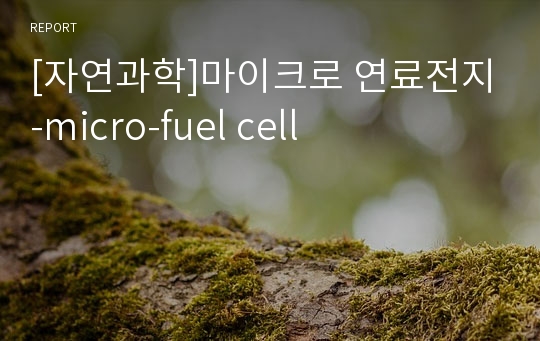 [자연과학]마이크로 연료전지-micro-fuel cell