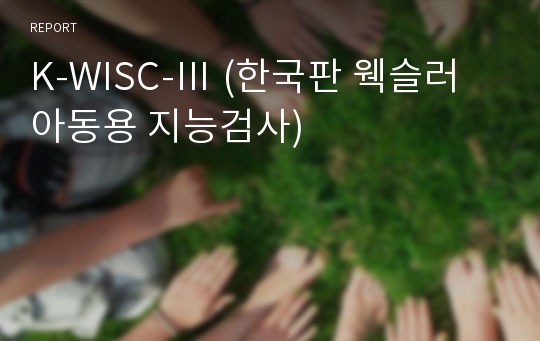 K-WISC-Ⅲ (한국판 웩슬러 아동용 지능검사)